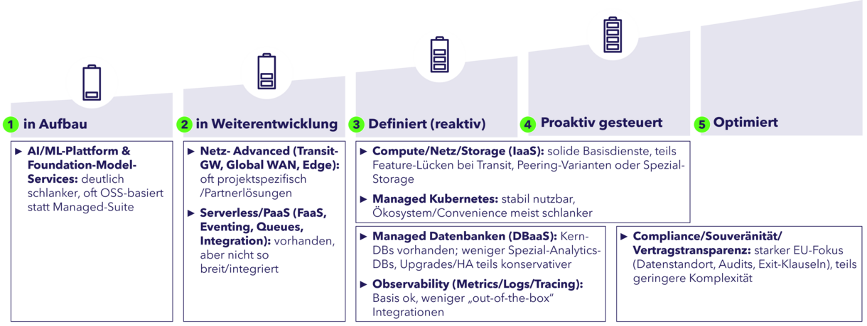 Reifegradeinschätzung
